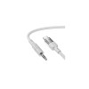 Cablu audio (UPA27), USB-C la 3,5 mm (M) - 1,2 m, Gri/Transparent
