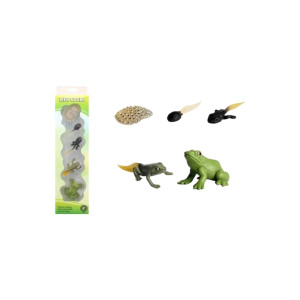 Mini broască din plastic, figurină animală, ciclul vieții, figurină Montessori, 36x9x4 cm фото