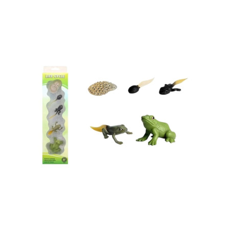 Mini broască din plastic, figurină animală, ciclul vieții, figurină Montessori, 36x9x4 cm
